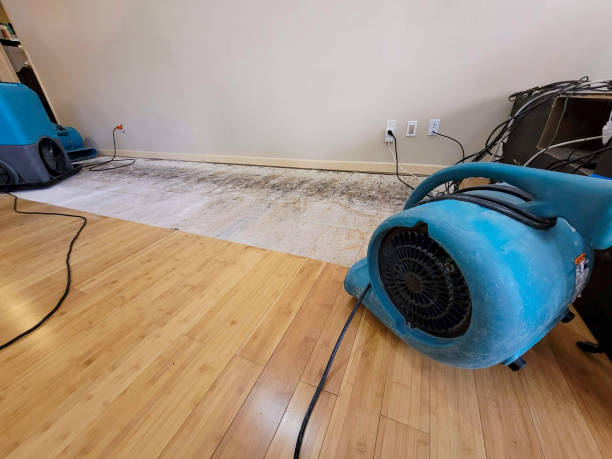 Professional Structural Drying technician working in Islesford, ME